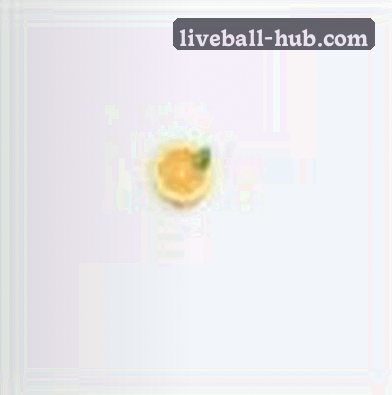 沈教练