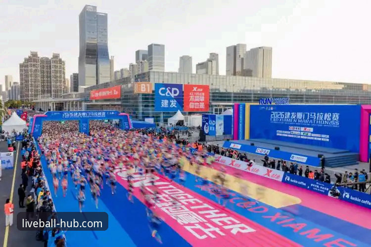 谈球吧体育平台2026新版功能实战指南：从下载到使用的完整攻略